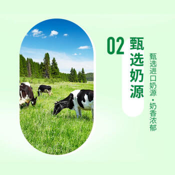 统一 阿萨姆煎茶奶绿 450ml*15瓶唐式古风煎茶（新老包装随机发货） 商品图0