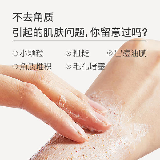【夏徽-净澈芳香身体磨砂膏】胡桃壳颗粒，天然去角质，促进肌肤新陈代谢，深层清洁。 商品图3