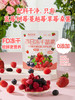 每日乔安·每日冻干莓果 蓝莓树莓草莓覆盆子蔓越莓桑葚健康养生休闲零食5袋 商品缩略图3