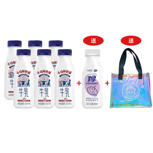 今日鲜奶铺255ml*6瓶加送芋泥厚乳255ml*1瓶再送镭射包一个，新旧版随机发货 商品图0