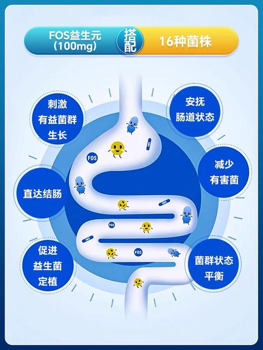 16种益生菌300亿 经典版小肚腩救星罗伊氏乳杆菌成人全家30粒美国NatureSpan倍能适 商品图7