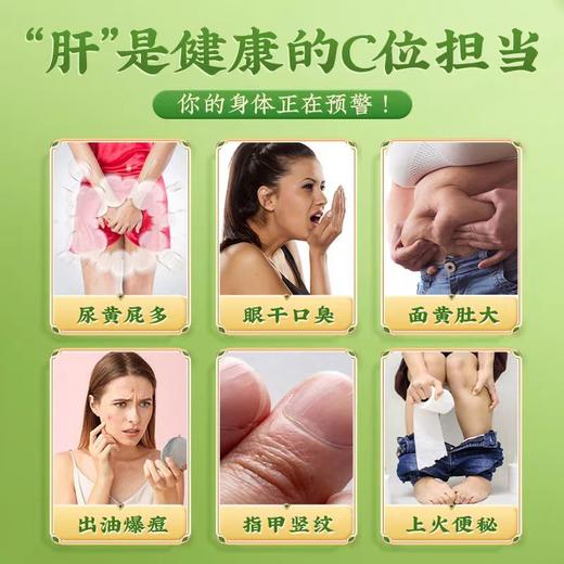 39.9/两盒 九芝堂菊花枸杞决明子茶熬夜肝火旺蒲公英金银花明清下去火养护益肝茶包 商品图2