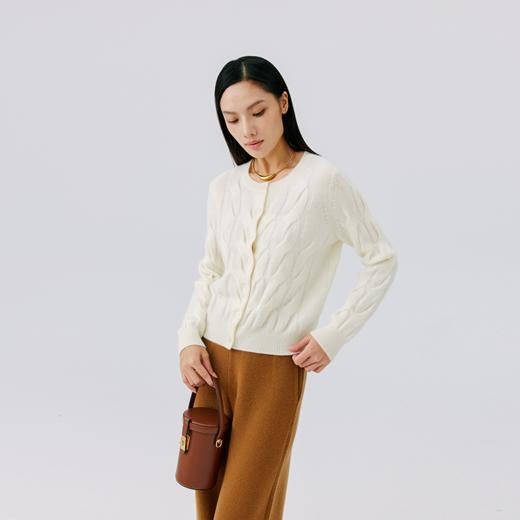 东黎 • 山羊绒女士秋季百搭时尚彩色绞花开衫 4623 商品图2