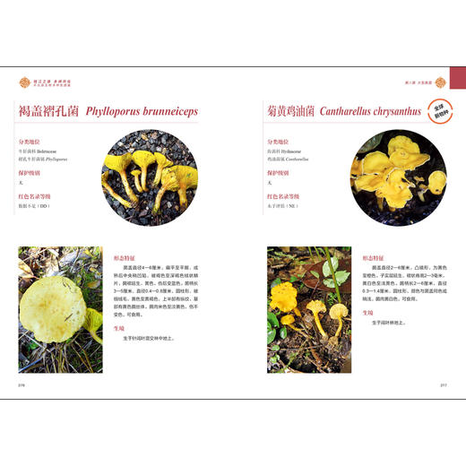 钱江之源 多样开化——开化县生物多样性图鉴 商品图4