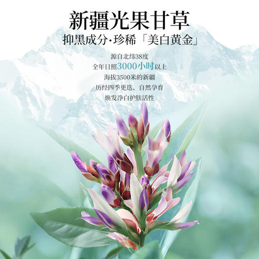 【年货节直降】美肤宝光果甘草小白瓶水光臻白新肌耀白祛斑亮肤精华液 20g/40g 烟酰胺美白提亮改善暗沉补水淡斑 商品图2