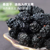 【富含花青素】桑葚干 选摘头茬大果 无色素添加 肉质肥厚 泡茶泡酒即食 每天5-8颗 营养高 商品缩略图1