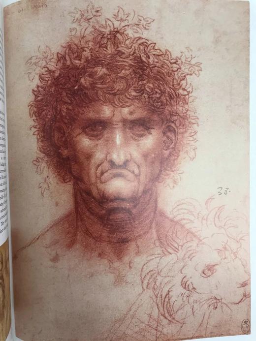 达芬奇会画全集，1452-1519（卷1） 约200幅彩色插图 精装8开 商品图11