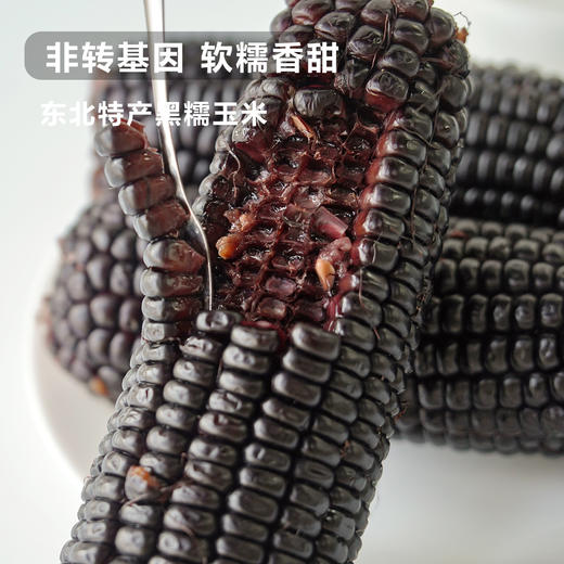 【非转基因 软糯香甜 】【2025年新玉米】东北特产黑糯玉米 8支装/箱 新鲜采摘 锁鲜包装 富含花青素 天然健康 营养丰富 优质早餐粗粮 商品图2