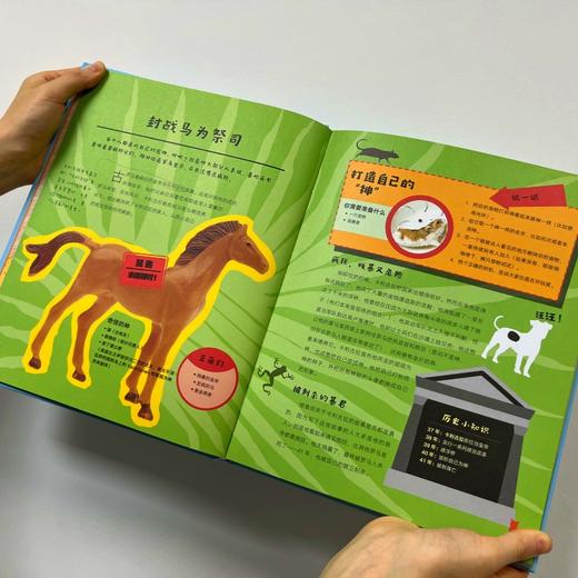 【思维启航者】小四门科学启蒙三部曲How to系列（3本套装）：马斯克学校推荐书单 商品图10