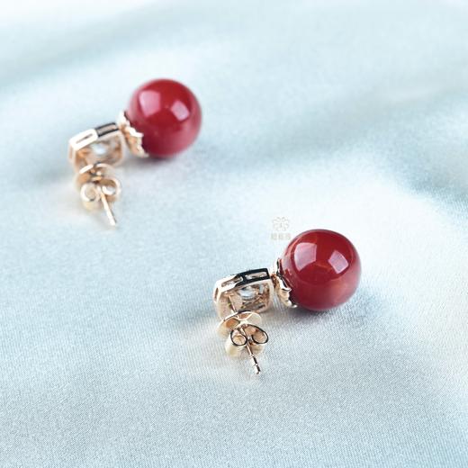 【鸿运】阿卡珊瑚耳钉-SH12406089 商品图5