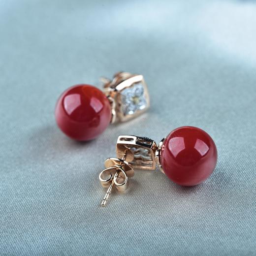 【鸿运】阿卡珊瑚耳钉-SH12406089 商品图7