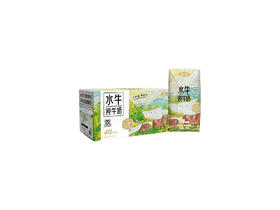 左江 水牛纯牛奶