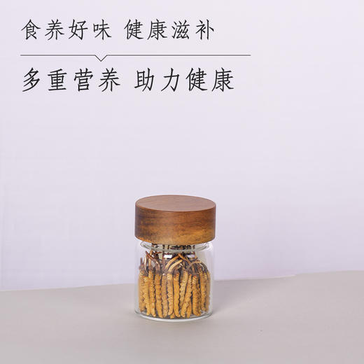 那曲精选虫草（4000条） 商品图3