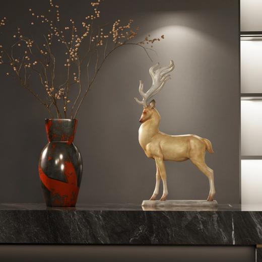 王中兴《如风》299版 商品图2