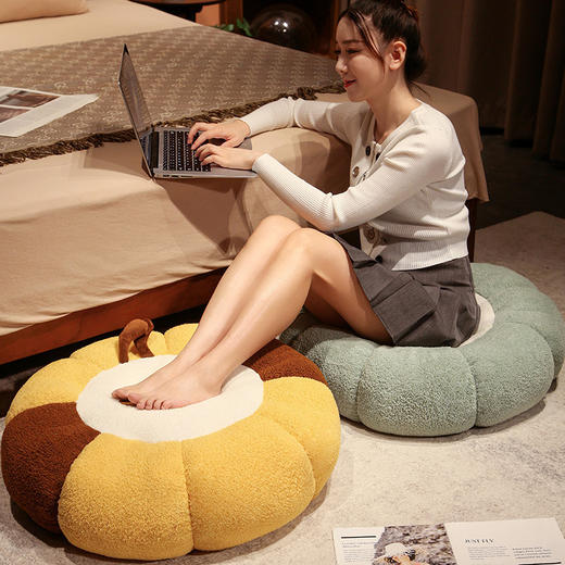 南瓜鲨鱼蜜蜂坐垫办公室久坐椅垫家用儿童略读区屁股垫地上蒲团垫新款爆款小红书网红同款 商品图1