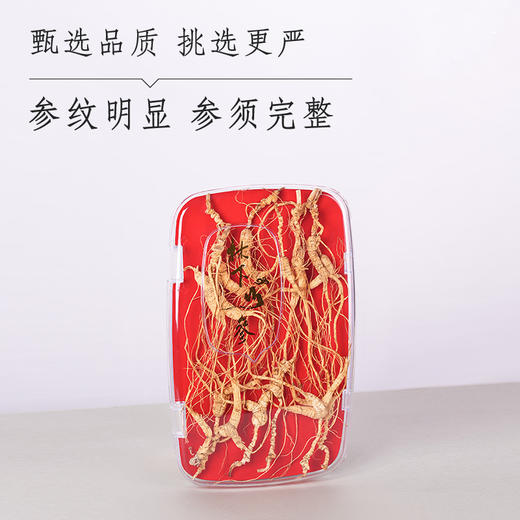 25年林下参 商品图1