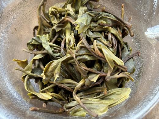 【挖茶】五周年纪念版龙珠系列：大雪山&曼峨，重磅来袭（收藏必备） 商品图5