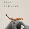 那曲精选虫草（2000条） 商品缩略图0