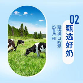 统一阿萨姆原味奶茶 6入装奶茶饮料 300ml*6瓶（顺路随车）