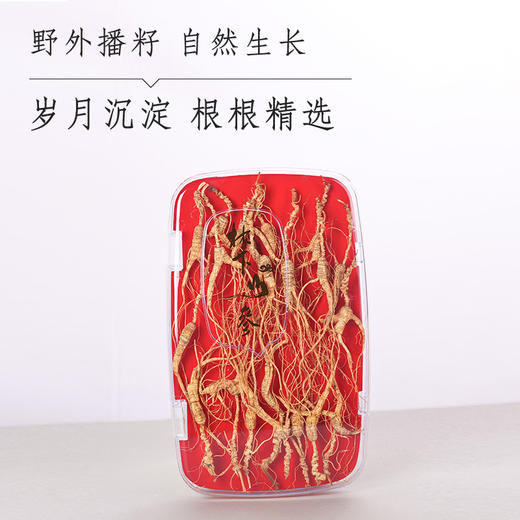 30年野籽 商品图1