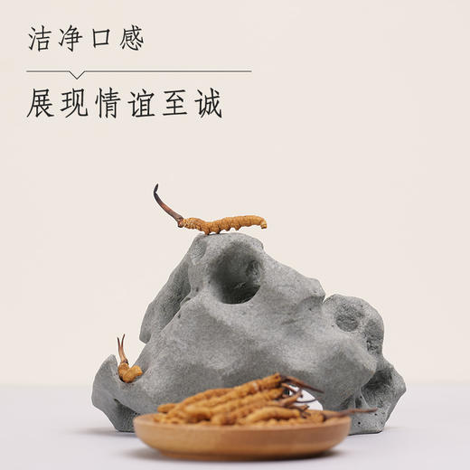 那曲精选虫草（2000条） 商品图1
