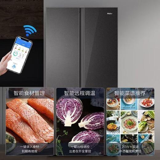 海尔冰箱_BCD-480WGHSSEDSLU1 商品图2