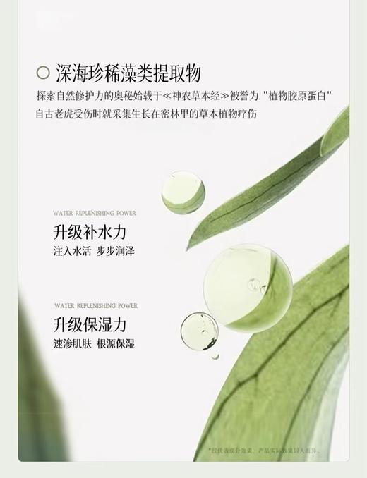 6片装LAM海蓝修护精粹沁润 商品图4