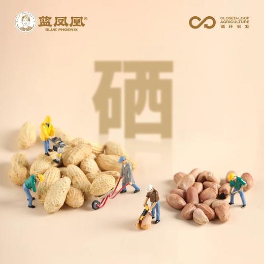 麻阳小籽花生  营养健康 味道醇厚 生花生  5斤装 商品图2