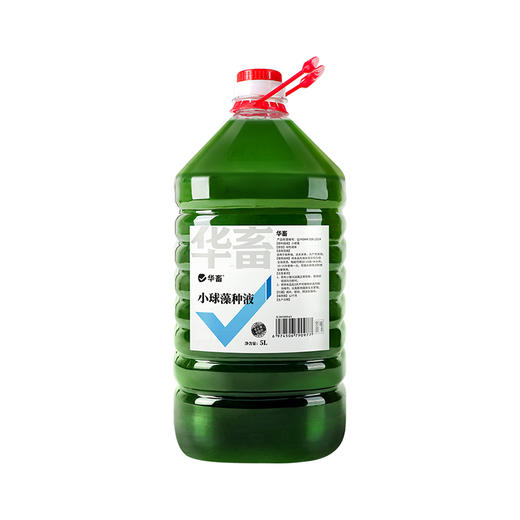 华畜小球藻种5L 快速肥水光合产氧 补充有益藻 商品图6