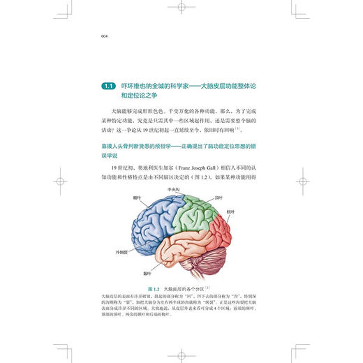 脑科学的故事第3版 第三版 脑科学知识的普及读物更是一次对科学精神的深刻体验 主编 顾凡及 上海科学技术出版社9787547867051 商品图3