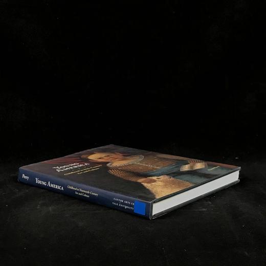 年轻的美国：十九世纪艺术与文化中的童年 168幅插图 精装16开 商品图1