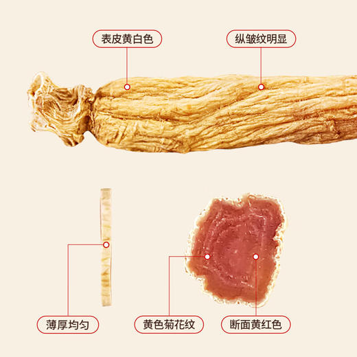 大力参排片礼盒  100g/盒 商品图2