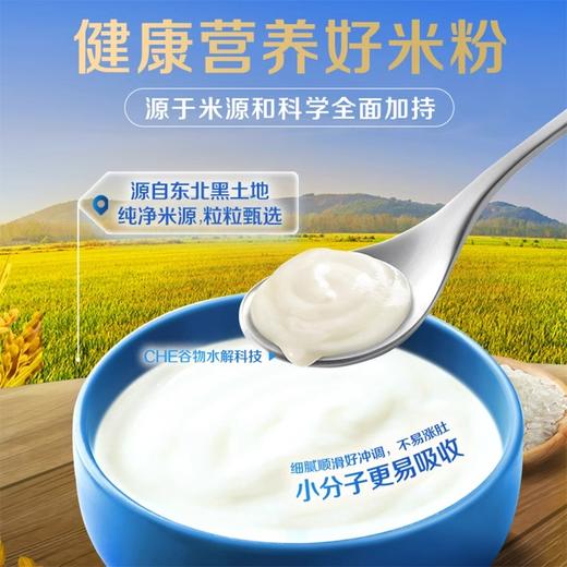 嘉宝-专业版A2酪蛋白配合米粉250g 商品图4