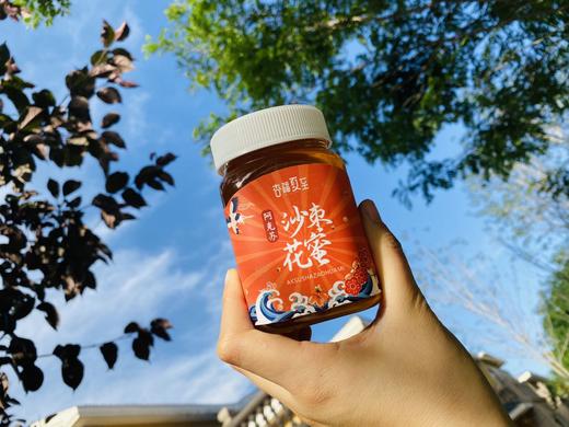 野生沙枣蜂蜜500g*2瓶 商品图1