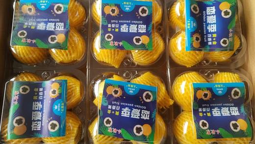 黄金百香果 商品图0