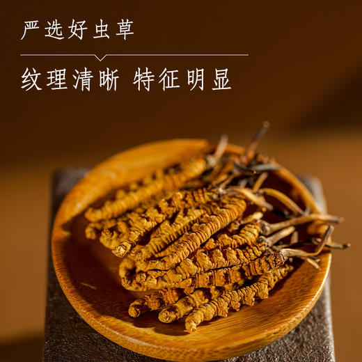 那曲精选虫草（3000条） 商品图1
