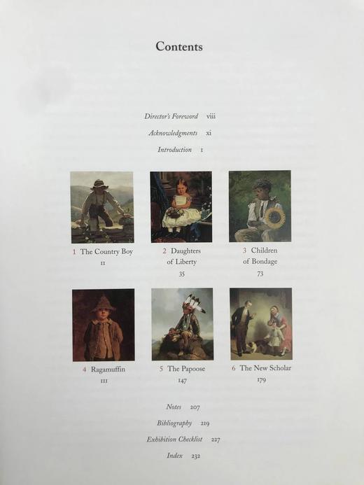 年轻的美国：十九世纪艺术与文化中的童年 168幅插图 精装16开 商品图5