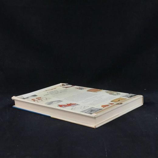 世界伟大建筑图集 约800幅插图（近440幅彩色） 精装大16开 商品图2