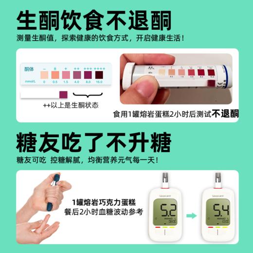 巧克力蛋糕｜糖学友冰山熔岩巧克力 夹心可可蛋糕 无蔗糖零食下午茶网红甜品 商品图1