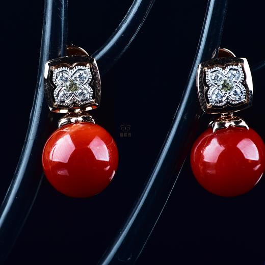 【鸿运】阿卡珊瑚耳钉-SH12406089 商品图2
