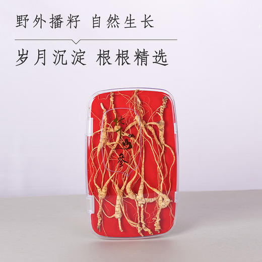 25年林下参 商品图2