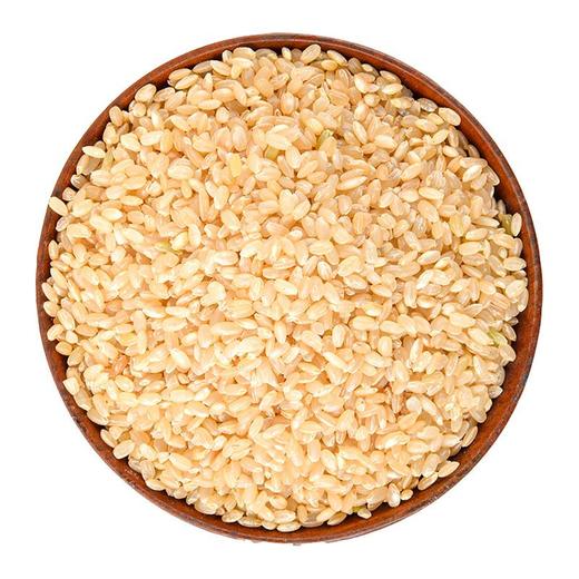 糯米（散装）500g/份 商品图2