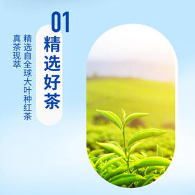 统一 阿萨姆 原味奶茶 6入装奶茶饮料 1.5L*6瓶/箱