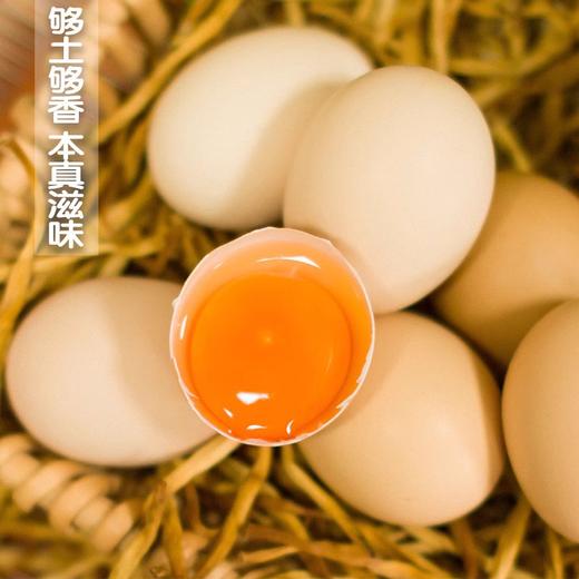 麻麻亮土鸡蛋  来自长寿之乡 谷物山林蛋 当日产超新鲜  30枚/盒 商品图1