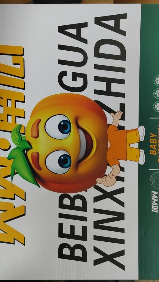 贝贝南瓜 商品图1