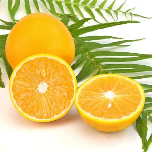 湖北秭归脐橙新鲜爆甜9斤（含包装）/箱（大果） 商品图3