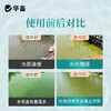 华畜小球藻种5L 快速肥水光合产氧 补充有益藻 商品缩略图4