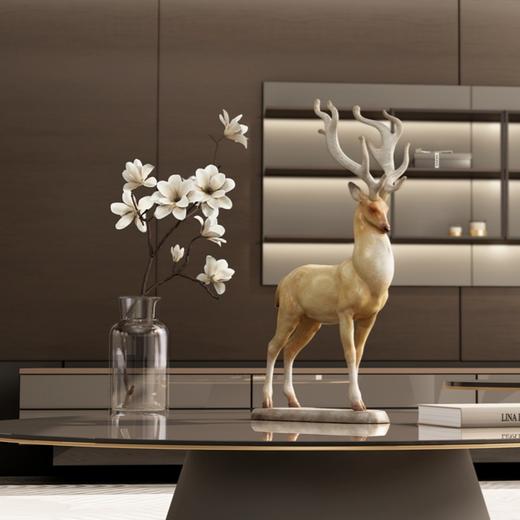 王中兴《如风》299版 商品图1