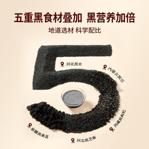 轻上 五黑坚果芝麻糊0添加蔗糖五重黑食材复合蛋白饮品245ml*6瓶 商品图3