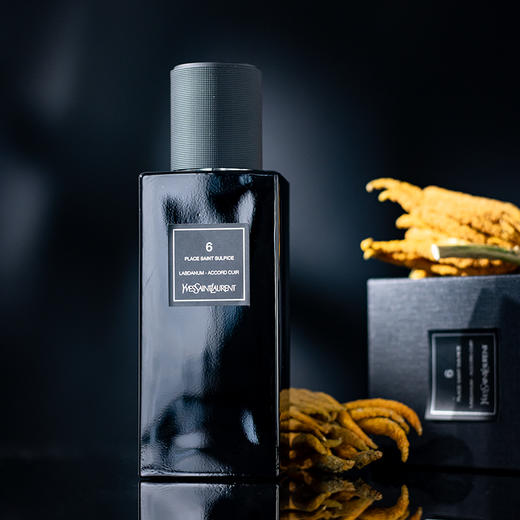 圣罗兰 圣叙尔皮斯6号 YSL Yves Saint Laurent 6 place Saint Sulpice 分装 【内敛又不失奢华的气息】 商品图3